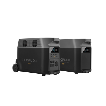 EcoFlow Delta Pro Portable Power Station